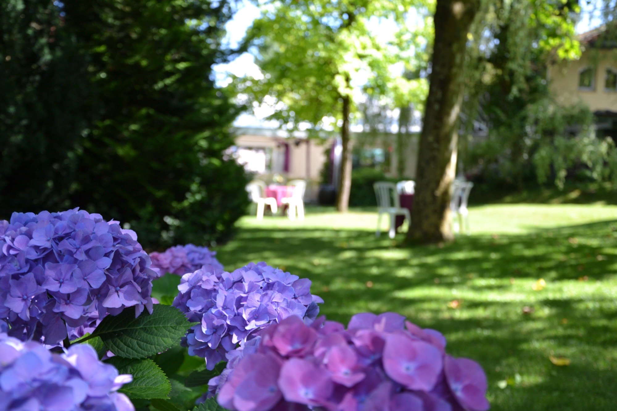Garten Landschaft