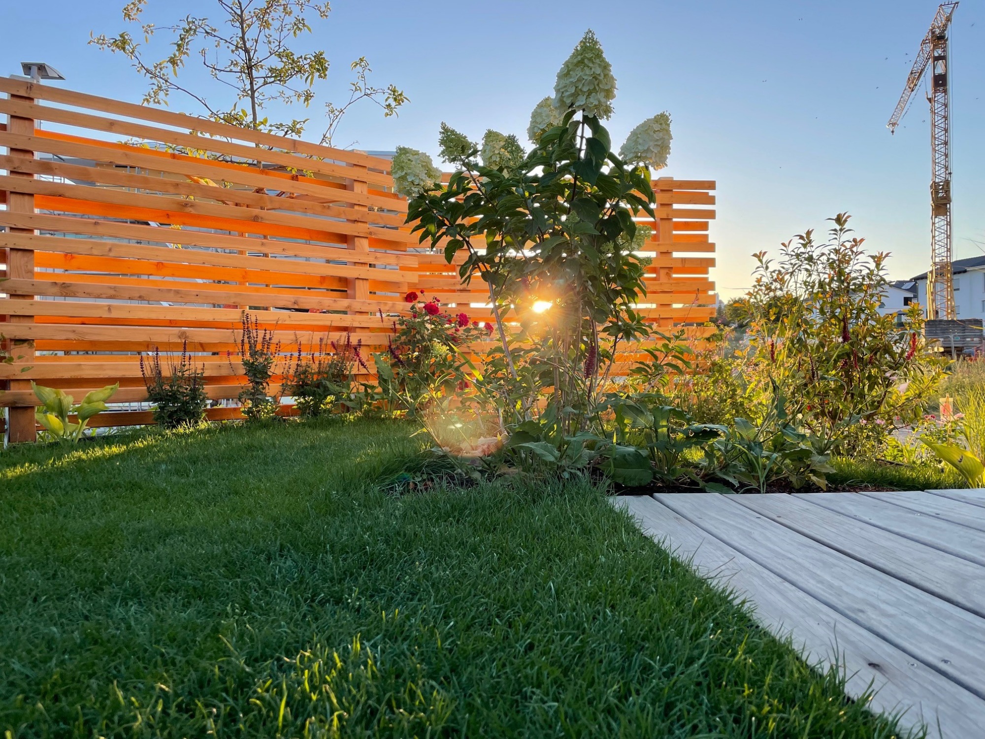 Gartenraum mit Holz und Pflanzung